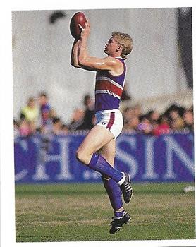 1993 Select AFL Stickers #119 Scott Wynd Front